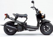 Honda Zoomer Honda Zoomer